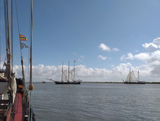 Segeltörn auf dem Ijsselmeer (Foto: Alexander von Rüden)